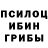 Псилоцибиновые грибы Psilocybe GSYasinY