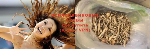 крисы Инсар