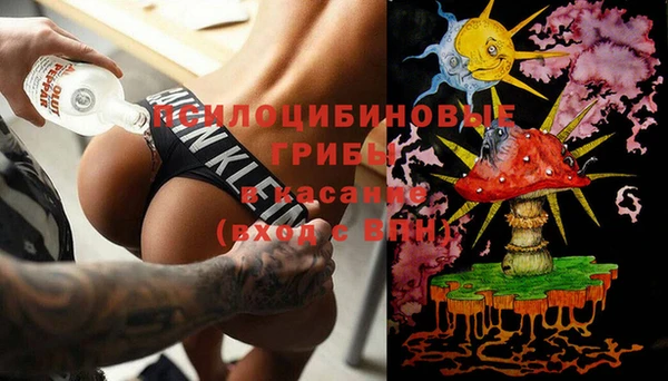 спиды Инта