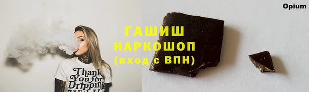 спиды Инта
