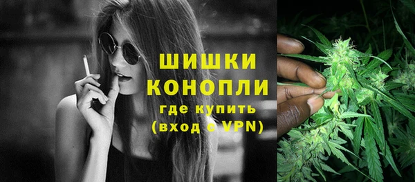 спиды Инта