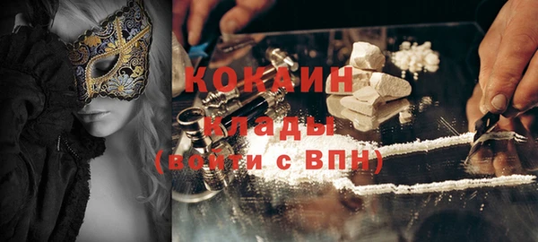 крисы Инсар