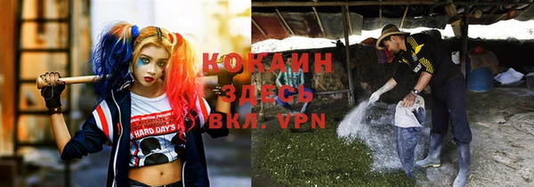 крисы Инсар
