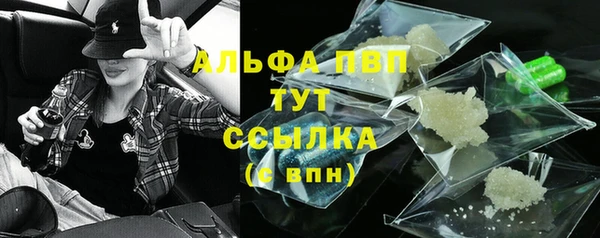 спиды Инта
