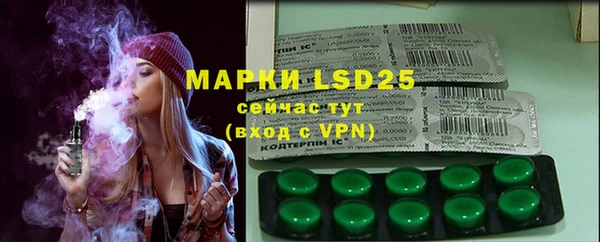 крисы Инсар