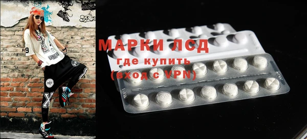 спиды Инта