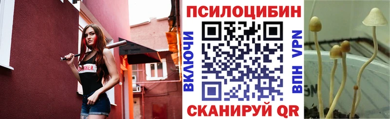 Галлюциногенные грибы прущие грибы  Купить закладки  Бирюсинск 